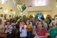missa_de_ramos-20